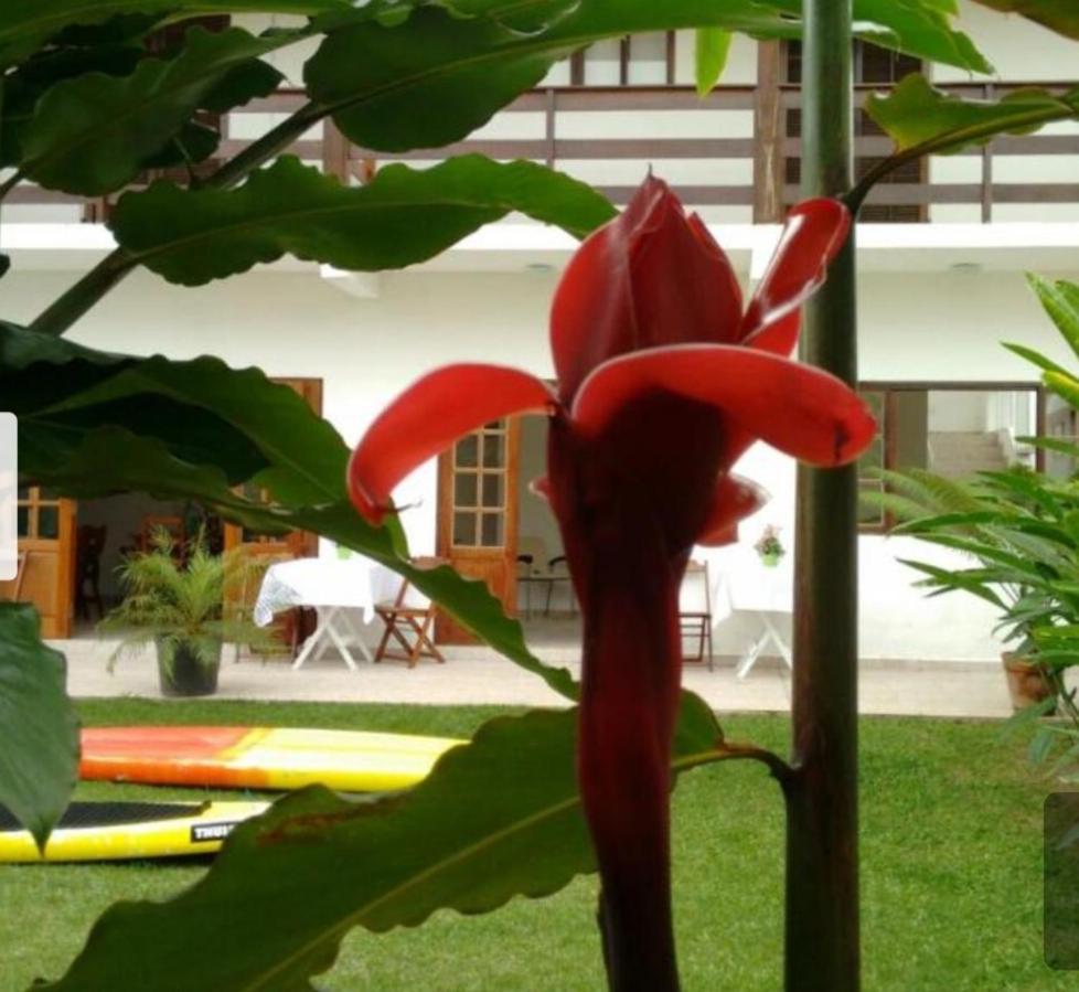 Pousada Ubatuba Itaguá Exteriér fotografie