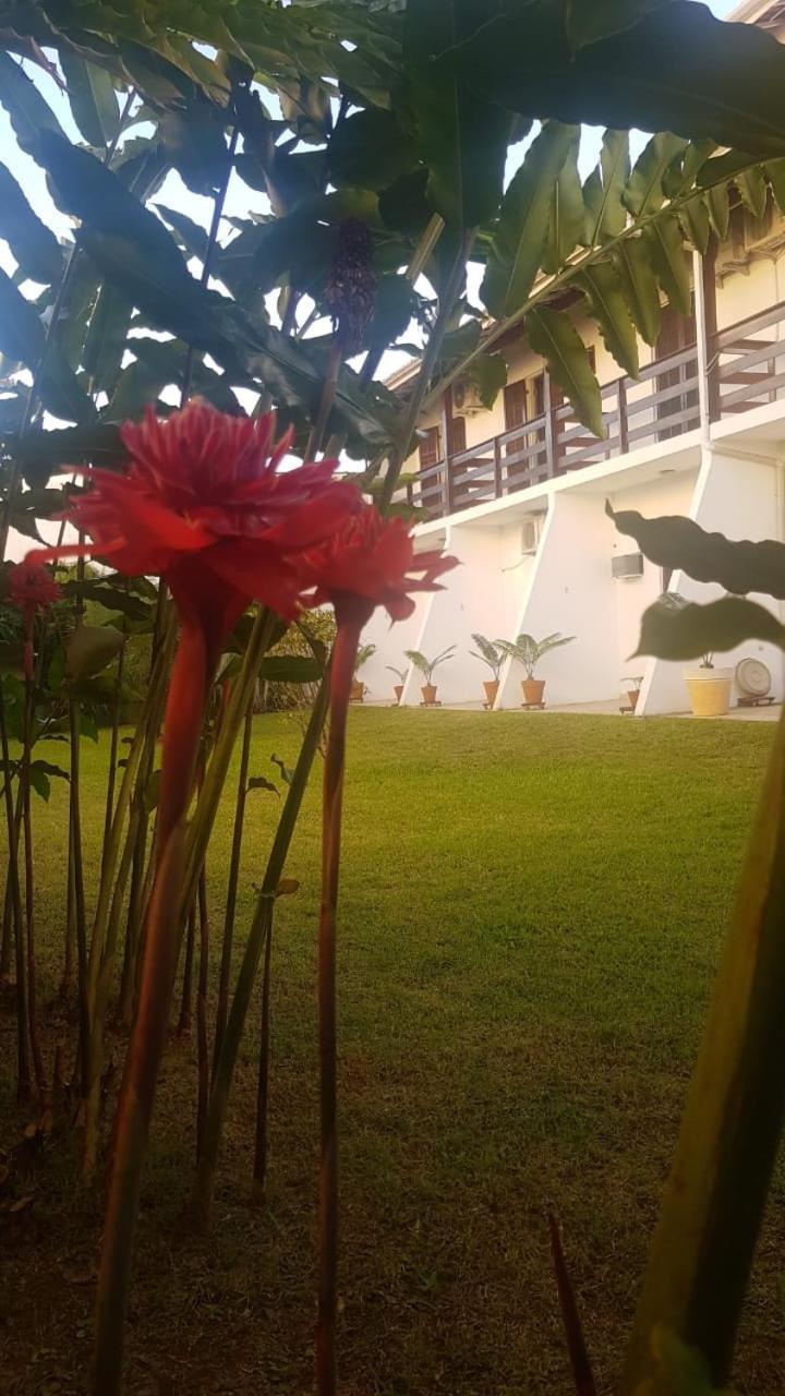 Pousada Ubatuba Itaguá Exteriér fotografie